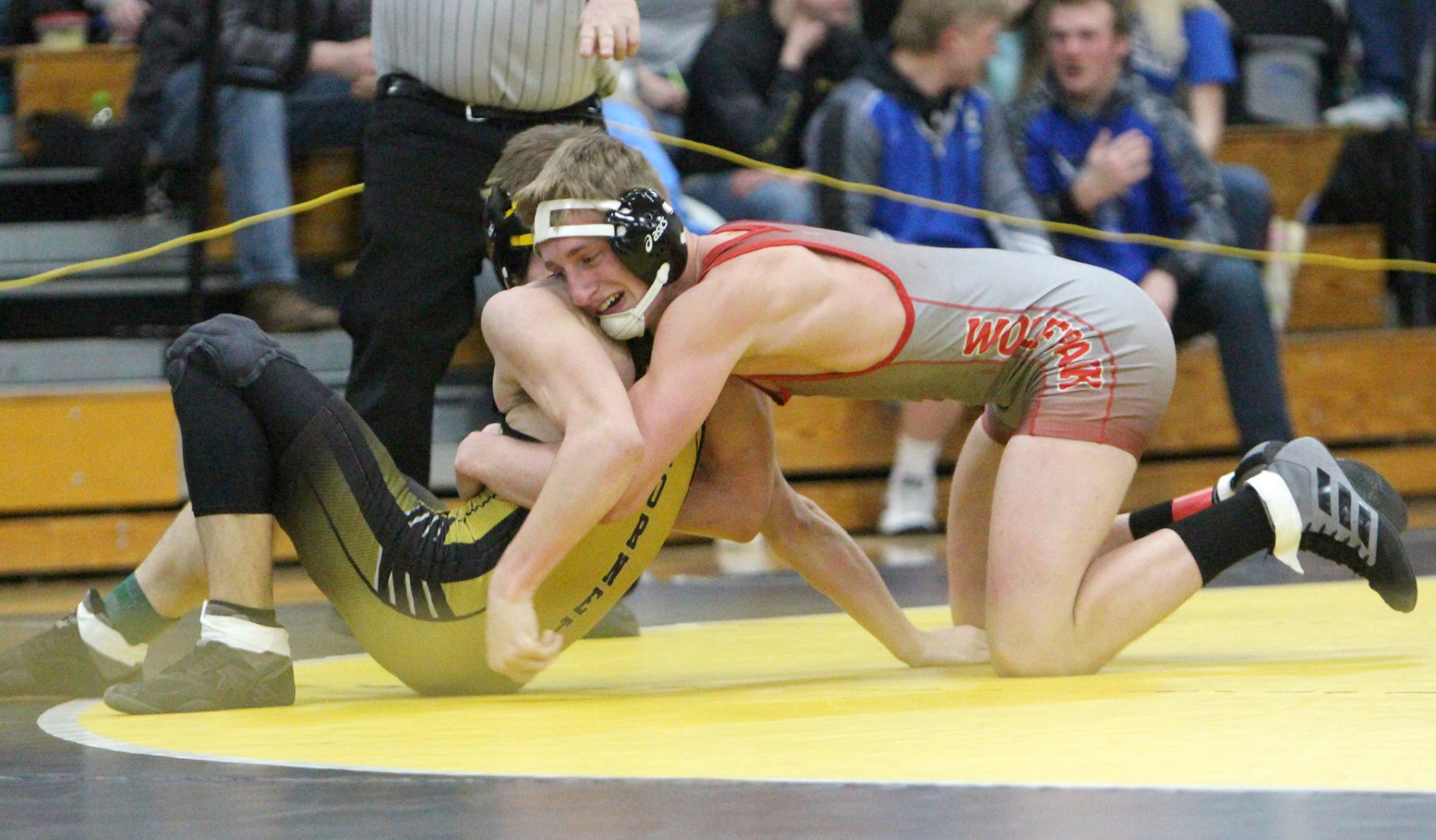 Division 3 Wrestling Regional at Cadott 2-15-20